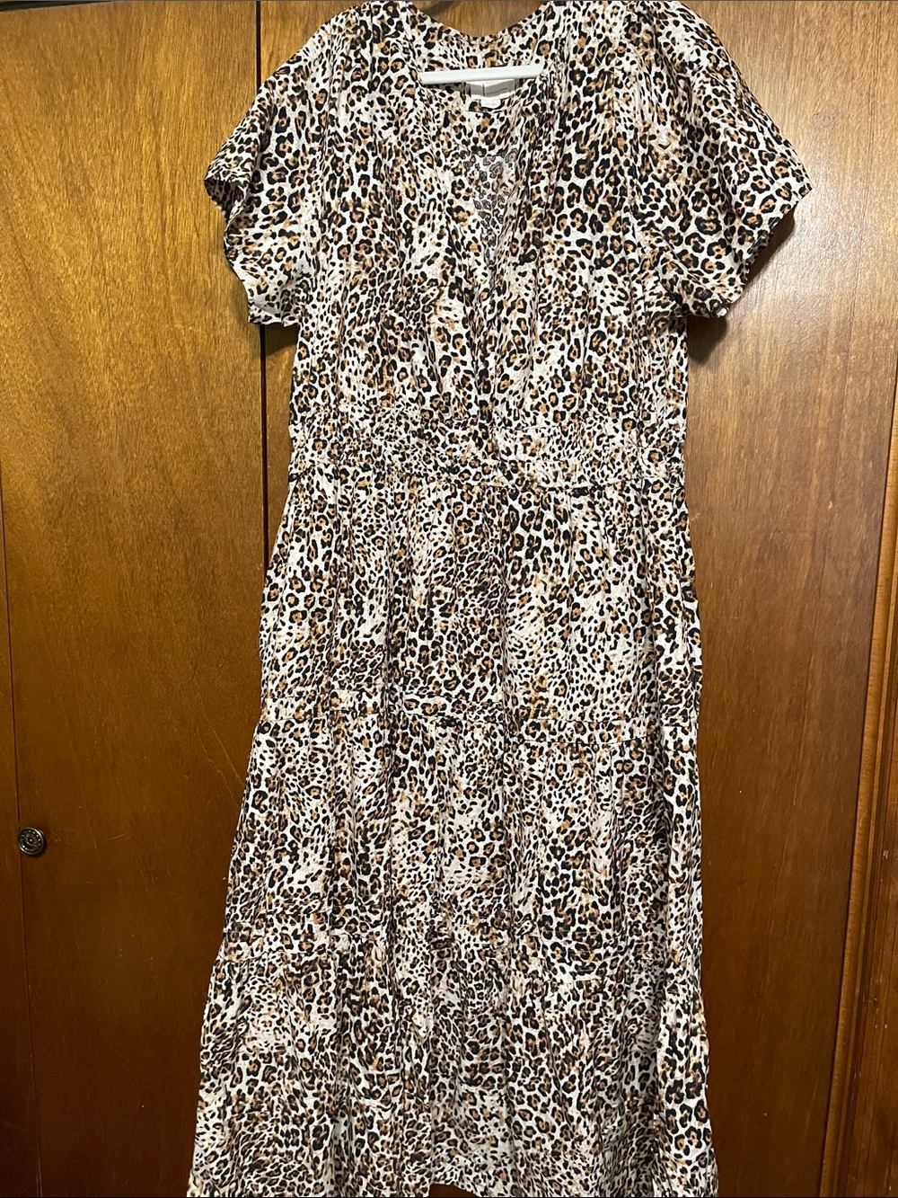Anthropologie 3x Somerset Leopard Print maxi Dress - Brown & Cream Animal Print